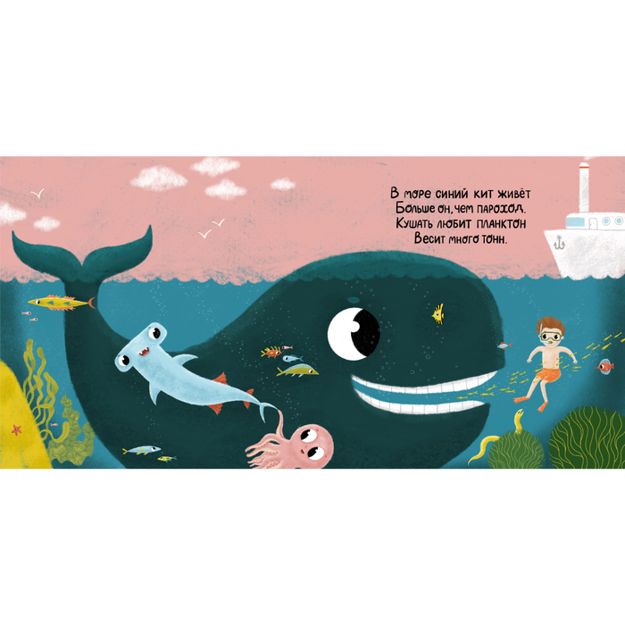 "Кто живет в море?" Синий кит