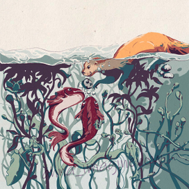 Речные жители