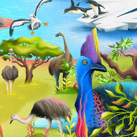 Большие птицы для Чевостика