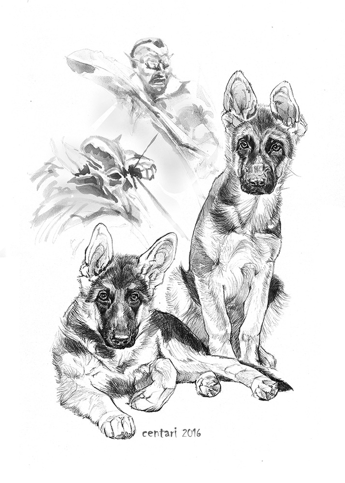 Боевые урук-хаи Саурона (маскировка) 