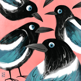 Сорочий слет