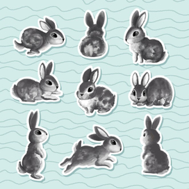 Черный водяной кролик — символ 2023 года