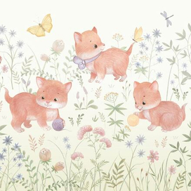 Играющие котята