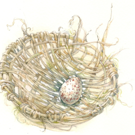 Ивовая корзинка