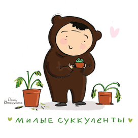 Медведь и суккуленты 