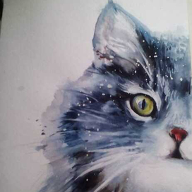 первый снег