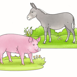 Ослик и свинка. Иллюстрация для детского обучающего пособия.