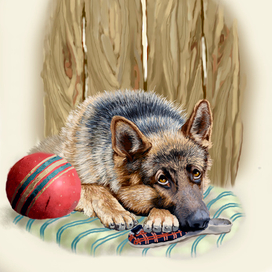 Молли любит вкусненькое.