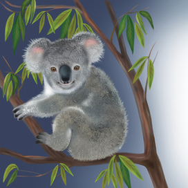 Познавательные сказки