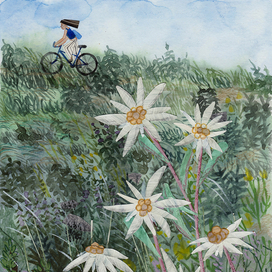 Вечное лето