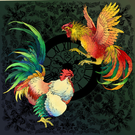 Оформление упаковки