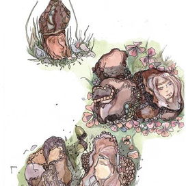 К книге про охоту на трюфелей