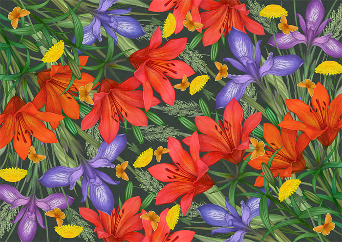 Ирисы и лилии. Ботаническая иллюстрация