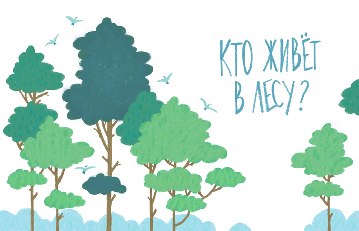 Кто живет в лесу?