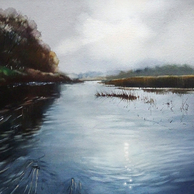 ,,В тихом омуте...,,