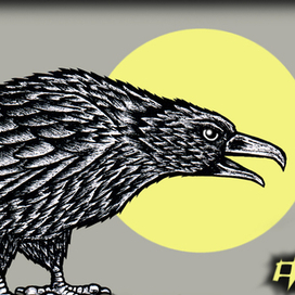 Ворон в лунную ночь