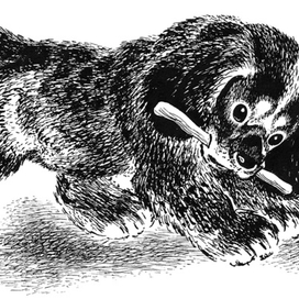 Е.Чарушин "Про Томку" изд. "Малыш"