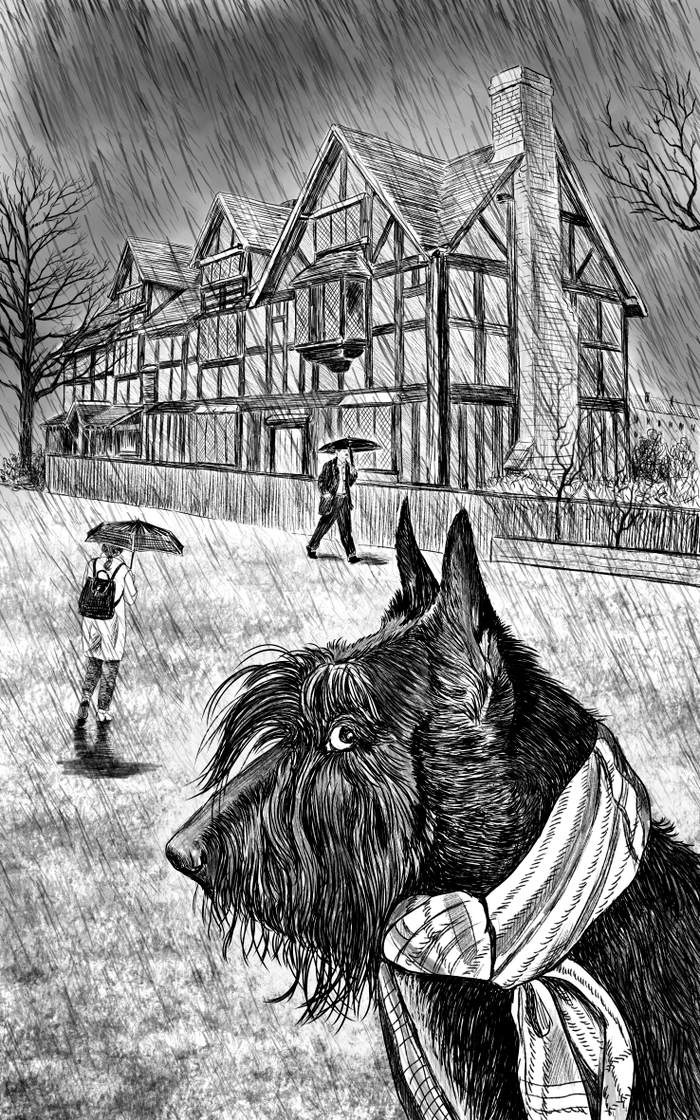 Иллюстрация к рассказу "Сон в осеннюю ночь" из сборника "Истории со  счастливым хвостом"