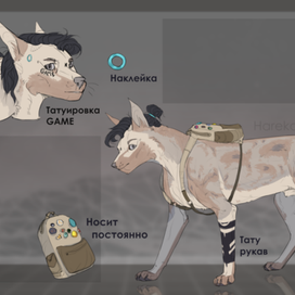 Референс персонажа(заказ)