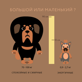 Инфографика "Как выбрать щенка"