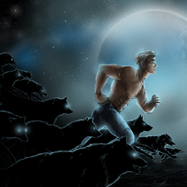 "Принц Полуночи. Последнее небо".