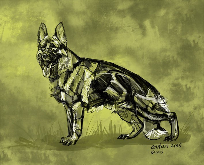 Groovy di Casa Massarelli