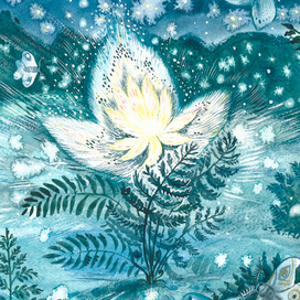 цветок папоротника