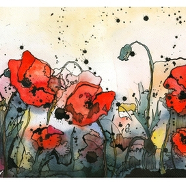 много маков