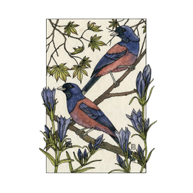 Птицы и цветы