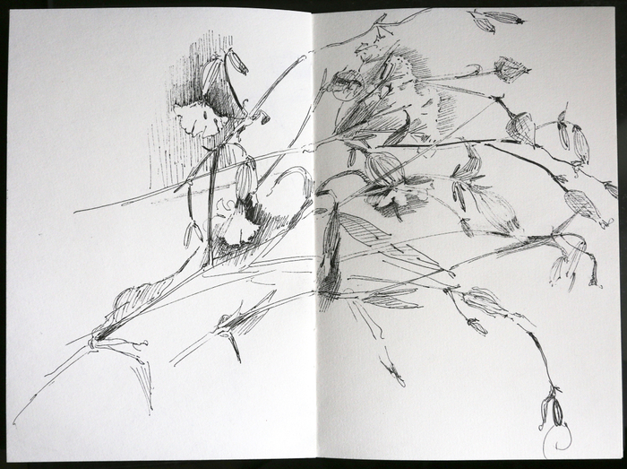 Альбом для набросков