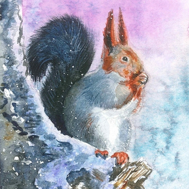 Белка. Серия открыток "Зимняя сказка"