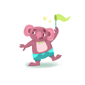 Коала Маркуша