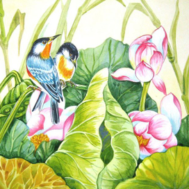 СРЕДИ ЛОТОСОВ