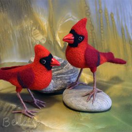 Красный  кардинал.