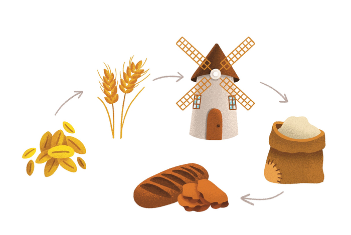 Изготовление муки