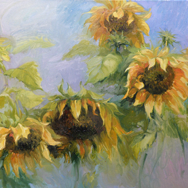 подсолнухи