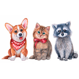 Щенок, Котенок и Енотик