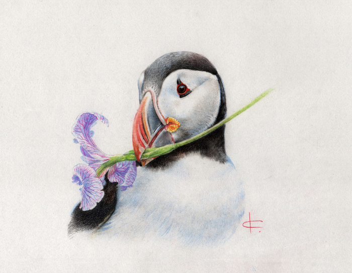 Тупик поздравляет