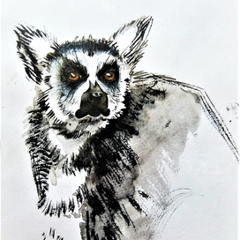 Немного хмурый лемур. #потомучтозима