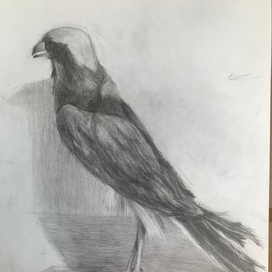 Рисунок птицы