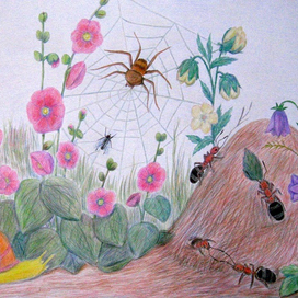 Насекомые_2