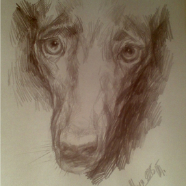 Вовсе не кусачая собака Жуля