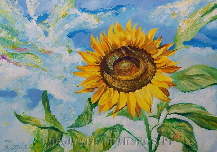 Солнечный ветер