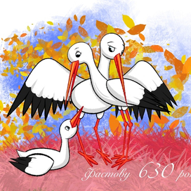 Семья аистов