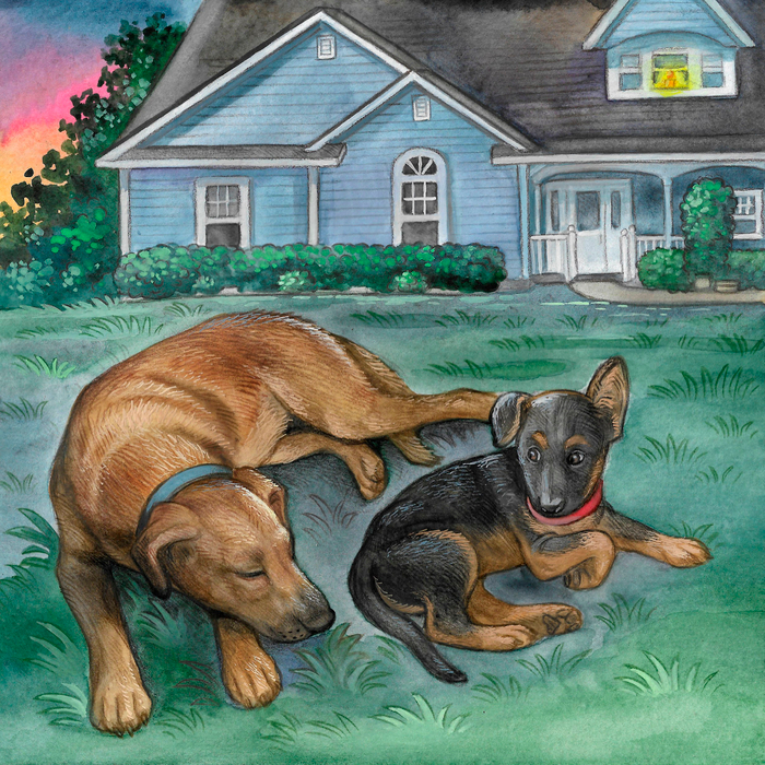 Иллюстрация для книги