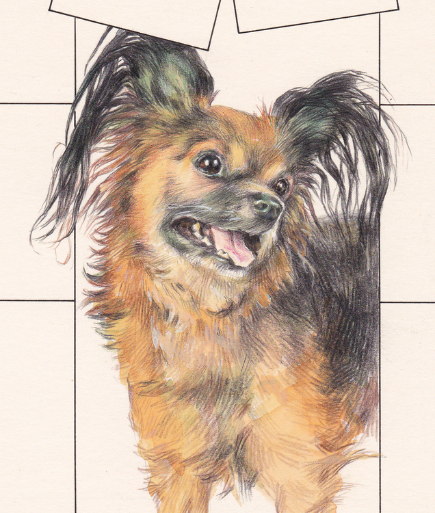 рисунок на обложку