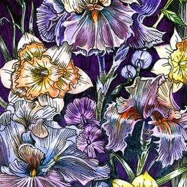 Декоративные цветы (в цвете)