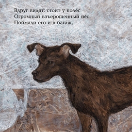 С.Маршак, Багаж