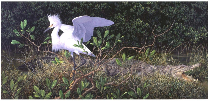 Красавица и Чудовище