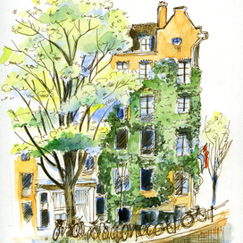 Весна, Амстердам, большое дерево и дом увитый плющом